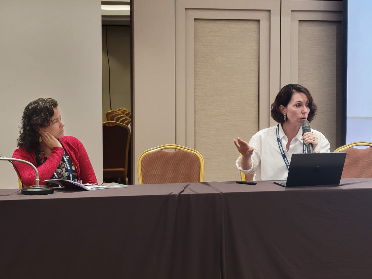 IPSA Executive Committee member Vanessa Elias de Oliveira presents the findings of the recent IPSA survey on gender equality.